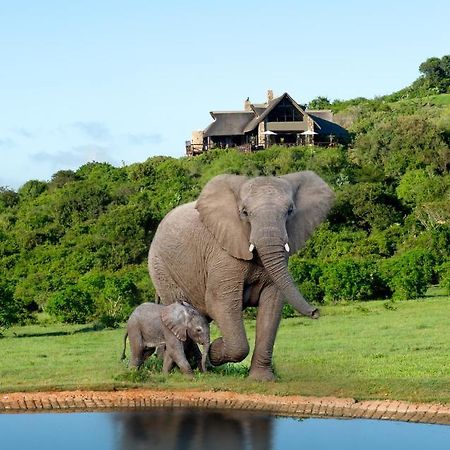 Hopewell Private Game Reserve Buyskloof Bagian luar foto