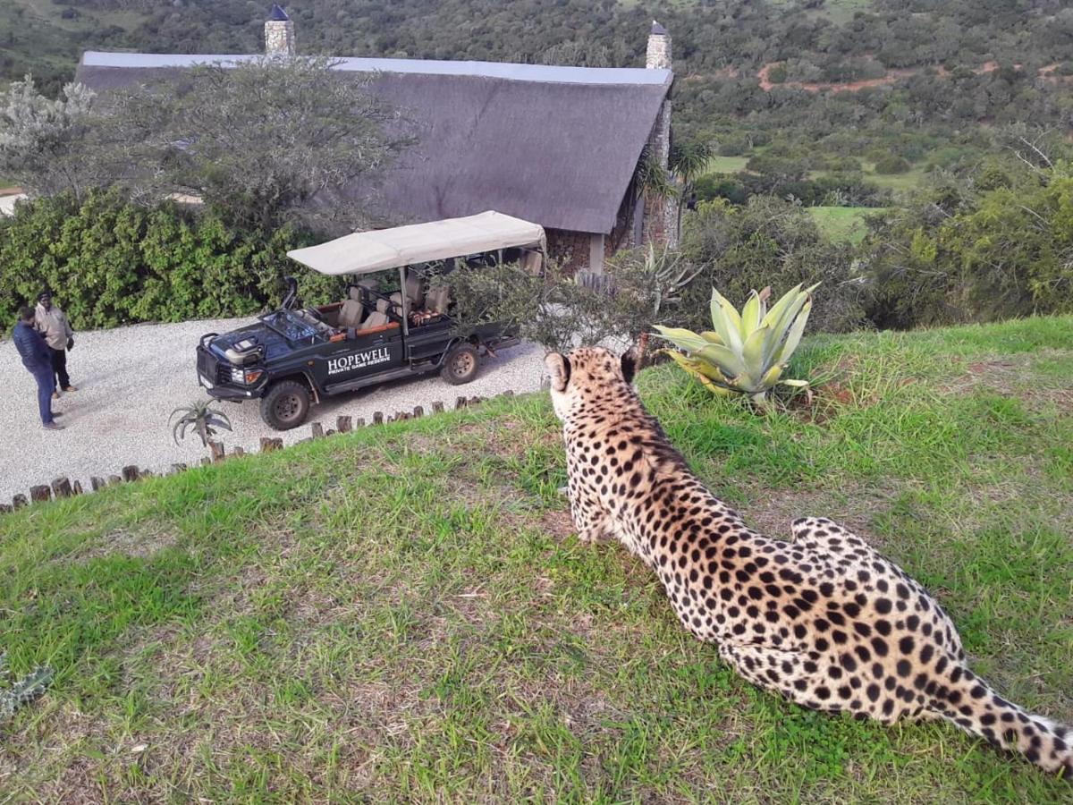 Hopewell Private Game Reserve Buyskloof Bagian luar foto