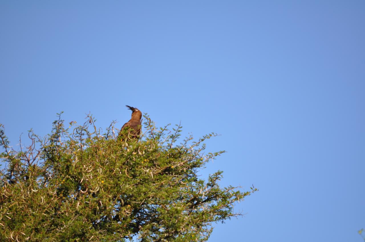 Hopewell Private Game Reserve Buyskloof Bagian luar foto